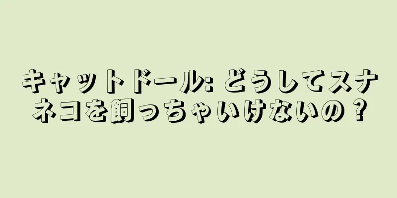 キャットドール: どうしてスナネコを飼っちゃいけないの？