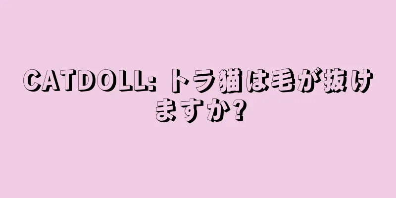 CATDOLL: トラ猫は毛が抜けますか?