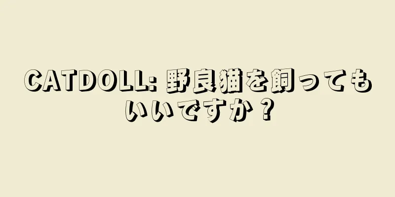 CATDOLL: 野良猫を飼ってもいいですか？