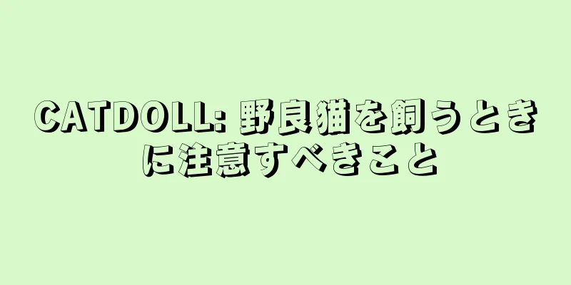 CATDOLL: 野良猫を飼うときに注意すべきこと