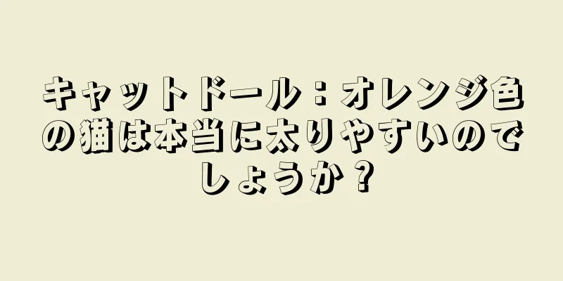 キャットドール：オレンジ色の猫は本当に太りやすいのでしょうか？