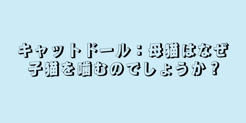 キャットドール：母猫はなぜ子猫を噛むのでしょうか？