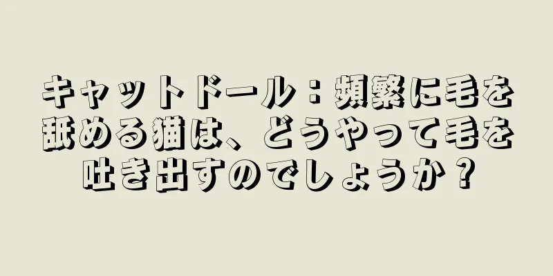 キャットドール：頻繁に毛を舐める猫は、どうやって毛を吐き出すのでしょうか？