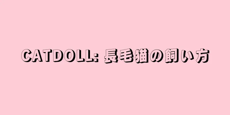 CATDOLL: 長毛猫の飼い方