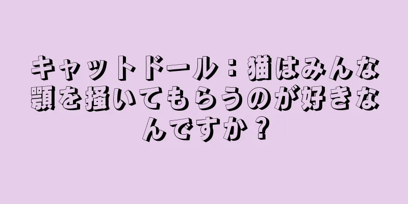 キャットドール：猫はみんな顎を掻いてもらうのが好きなんですか？
