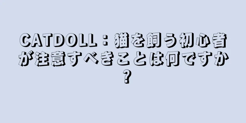 CATDOLL：猫を飼う初心者が注意すべきことは何ですか？