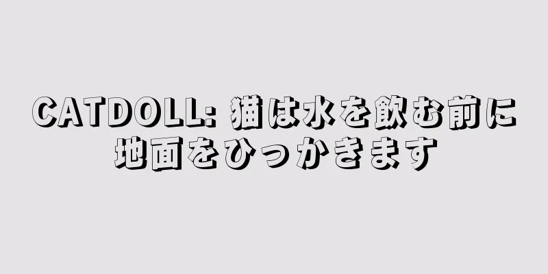 CATDOLL: 猫は水を飲む前に地面をひっかきます