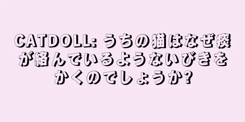 CATDOLL: うちの猫はなぜ痰が絡んでいるようないびきをかくのでしょうか?