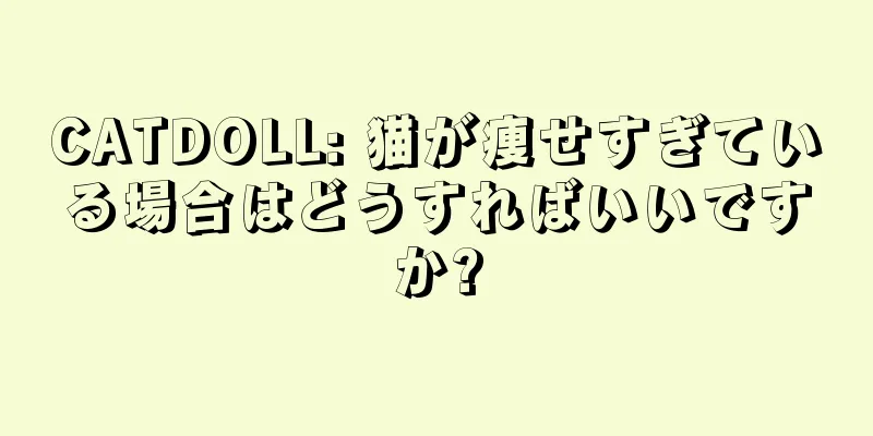 CATDOLL: 猫が痩せすぎている場合はどうすればいいですか?