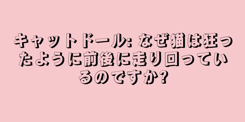 キャットドール: なぜ猫は狂ったように前後に走り回っているのですか?