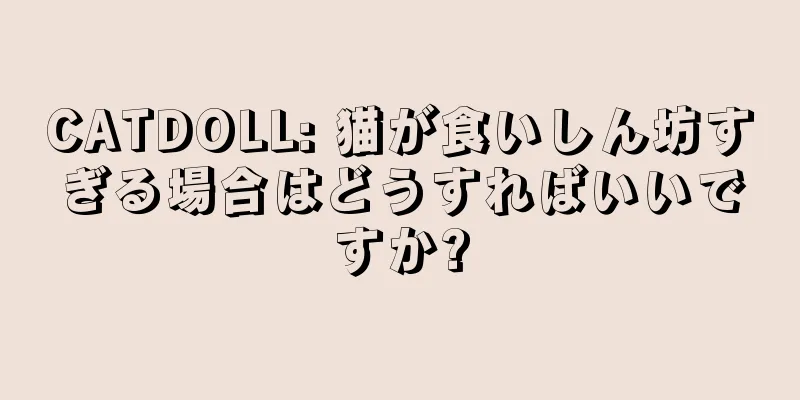 CATDOLL: 猫が食いしん坊すぎる場合はどうすればいいですか?