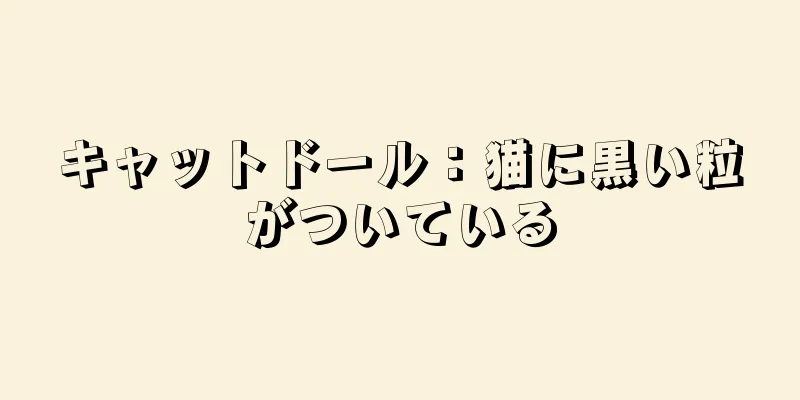 キャットドール：猫に黒い粒がついている