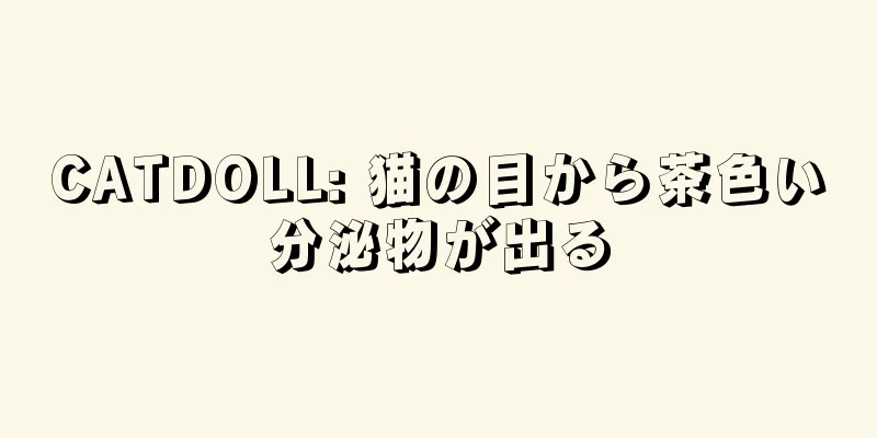 CATDOLL: 猫の目から茶色い分泌物が出る