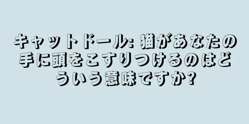 キャットドール: 猫があなたの手に頭をこすりつけるのはどういう意味ですか?