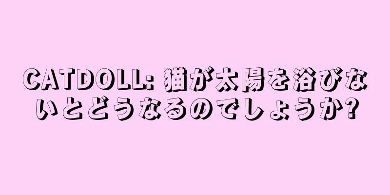CATDOLL: 猫が太陽を浴びないとどうなるのでしょうか?
