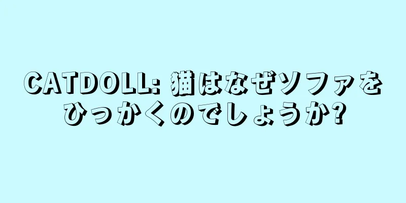 CATDOLL: 猫はなぜソファをひっかくのでしょうか?