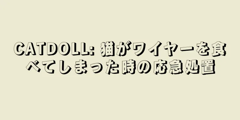CATDOLL: 猫がワイヤーを食べてしまった時の応急処置