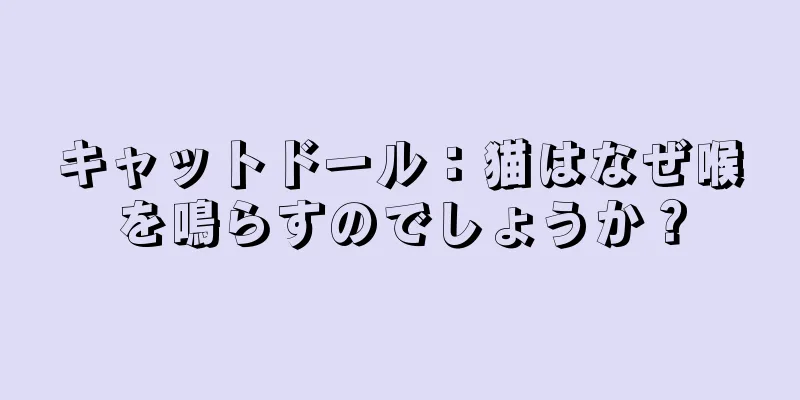 キャットドール：猫はなぜ喉を鳴らすのでしょうか？