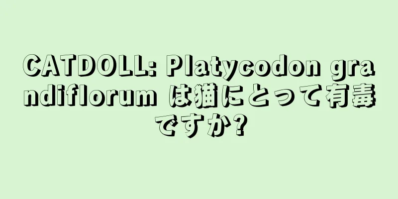 CATDOLL: Platycodon grandiflorum は猫にとって有毒ですか?