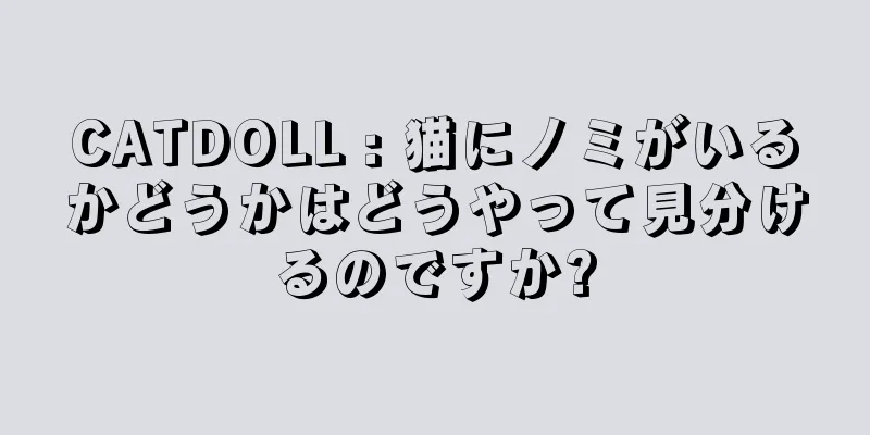 CATDOLL : 猫にノミがいるかどうかはどうやって見分けるのですか?
