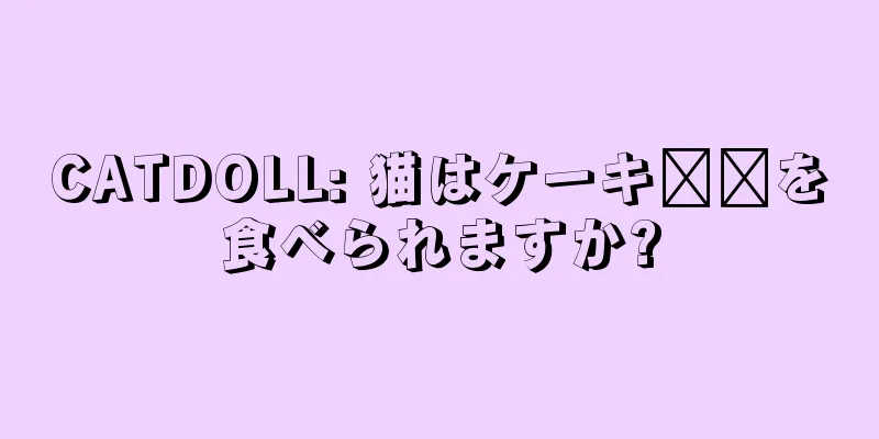 CATDOLL: 猫はケーキ​​を食べられますか?