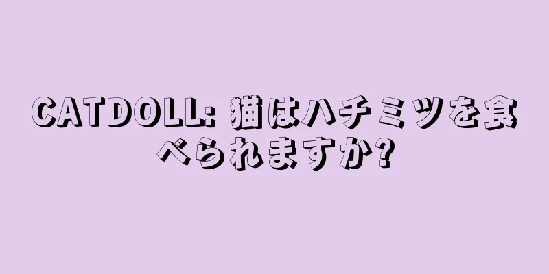 CATDOLL: 猫はハチミツを食べられますか?