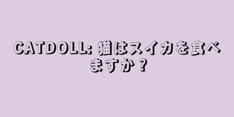 CATDOLL: 猫はスイカを食べますか？
