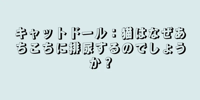 キャットドール：猫はなぜあちこちに排尿するのでしょうか？