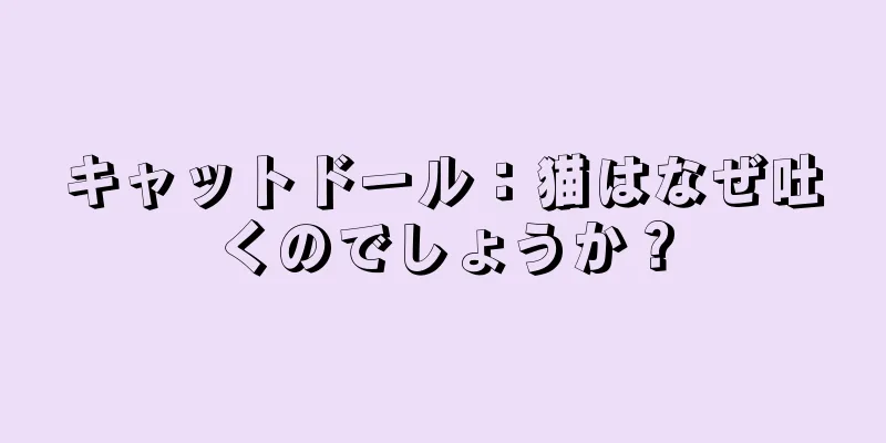 キャットドール：猫はなぜ吐くのでしょうか？