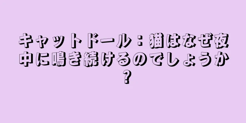 キャットドール：猫はなぜ夜中に鳴き続けるのでしょうか？