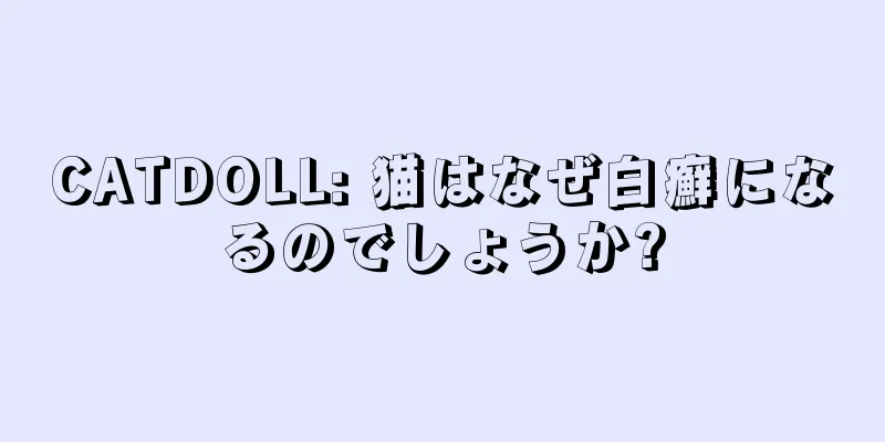 CATDOLL: 猫はなぜ白癬になるのでしょうか?