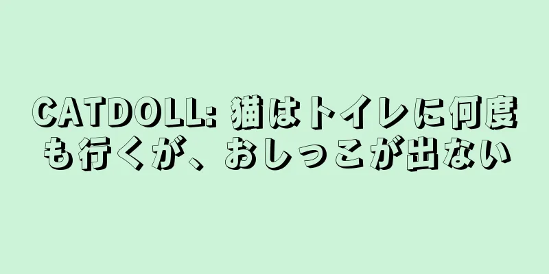 CATDOLL: 猫はトイレに何度も行くが、おしっこが出ない