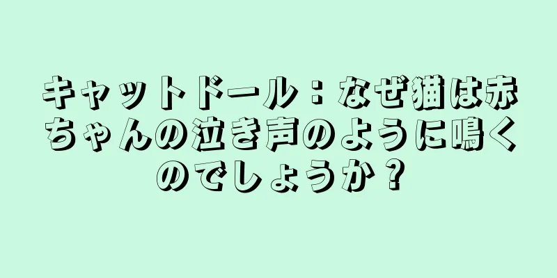 キャットドール：なぜ猫は赤ちゃんの泣き声のように鳴くのでしょうか？