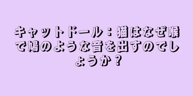 キャットドール：猫はなぜ喉で鳩のような音を出すのでしょうか？