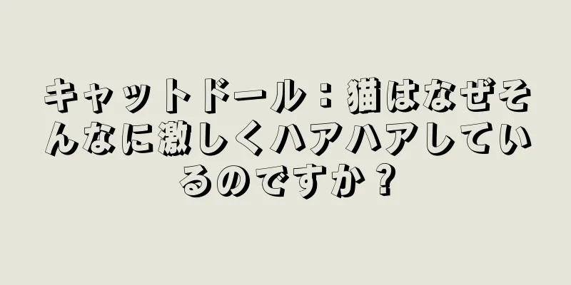 キャットドール：猫はなぜそんなに激しくハアハアしているのですか？