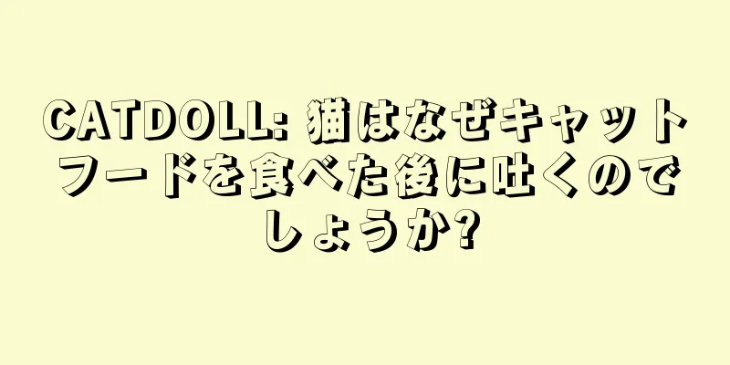 CATDOLL: 猫はなぜキャットフードを食べた後に吐くのでしょうか?