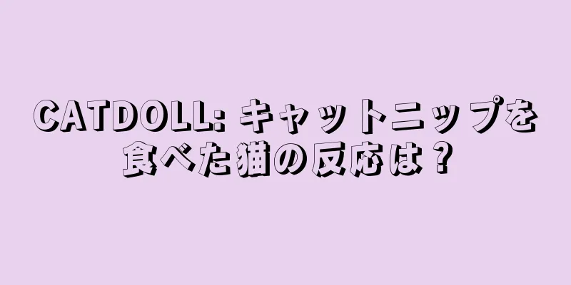 CATDOLL: キャットニップを食べた猫の反応は？