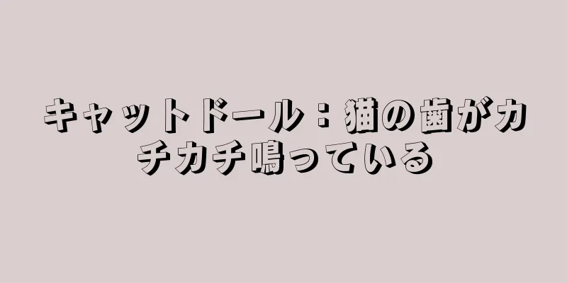 キャットドール：猫の歯がカチカチ鳴っている