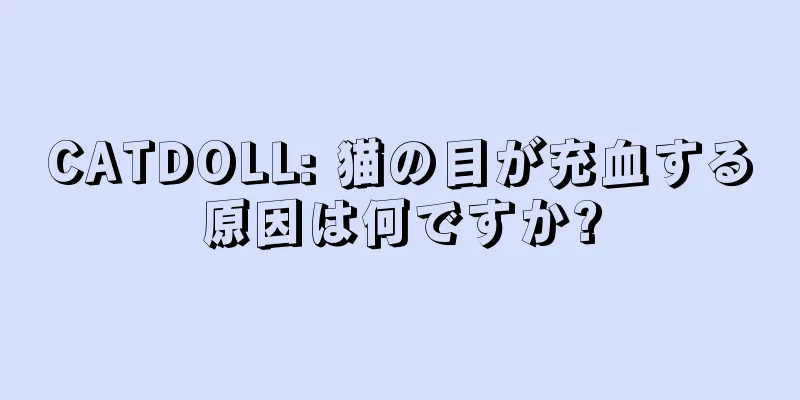 CATDOLL: 猫の目が充血する原因は何ですか?