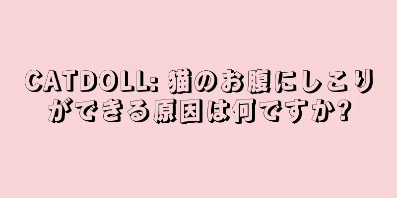 CATDOLL: 猫のお腹にしこりができる原因は何ですか?