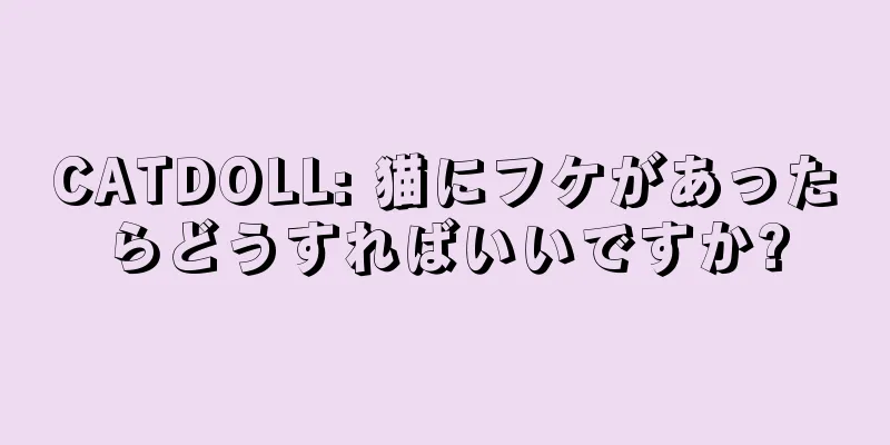 CATDOLL: 猫にフケがあったらどうすればいいですか?