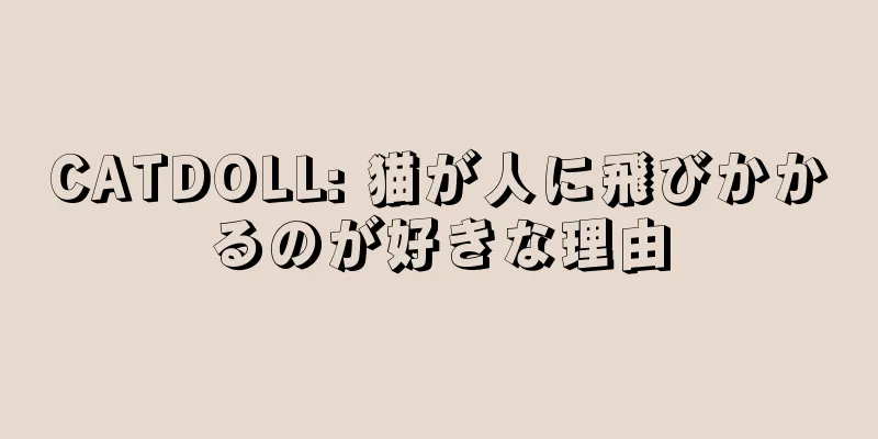 CATDOLL: 猫が人に飛びかかるのが好きな理由