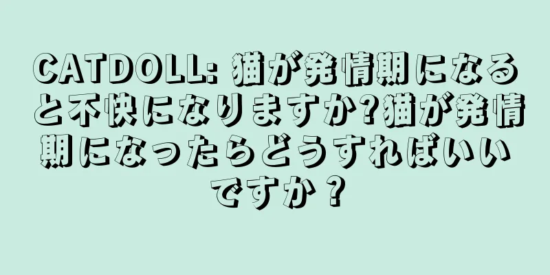 CATDOLL: 猫が発情期になると不快になりますか?猫が発情期になったらどうすればいいですか？