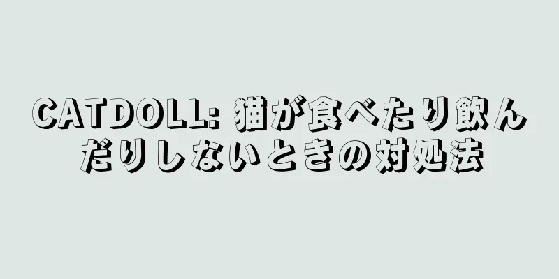 CATDOLL: 猫が食べたり飲んだりしないときの対処法