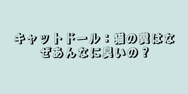 キャットドール：猫の糞はなぜあんなに臭いの？