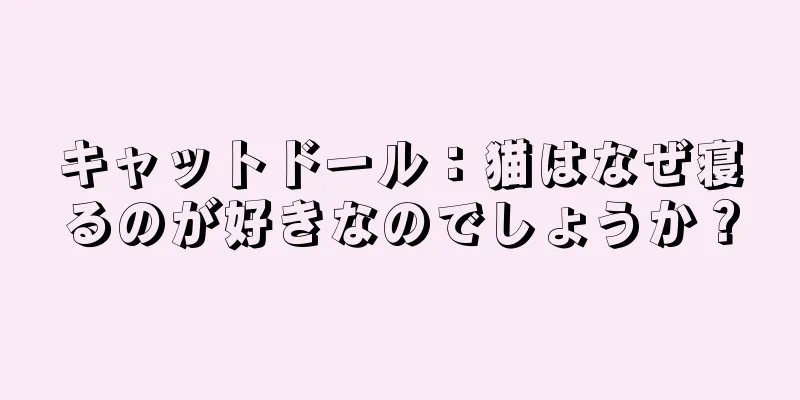 キャットドール：猫はなぜ寝るのが好きなのでしょうか？