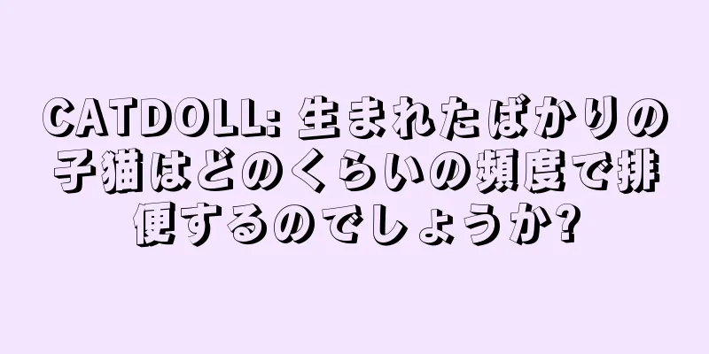 CATDOLL: 生まれたばかりの子猫はどのくらいの頻度で排便するのでしょうか?