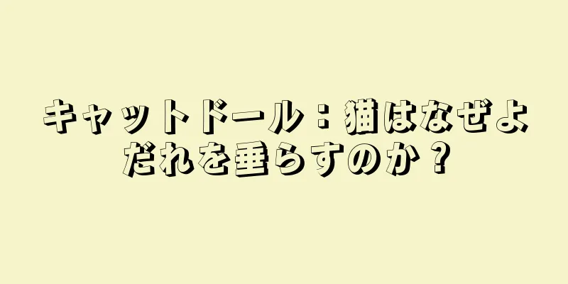 キャットドール：猫はなぜよだれを垂らすのか？
