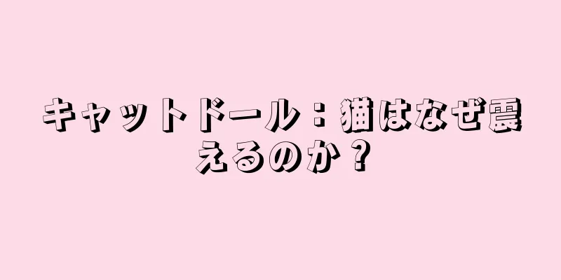 キャットドール：猫はなぜ震えるのか？