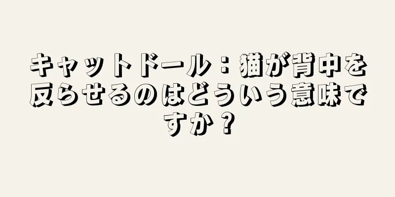 キャットドール：猫が背中を反らせるのはどういう意味ですか？